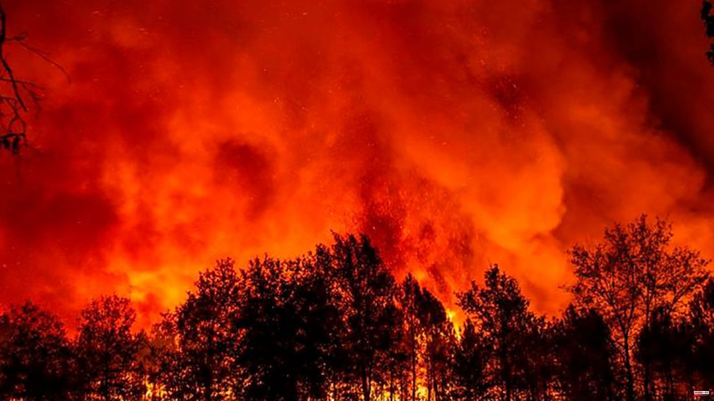 Fires: EU Commission: 170 million euros for forest fire fleet