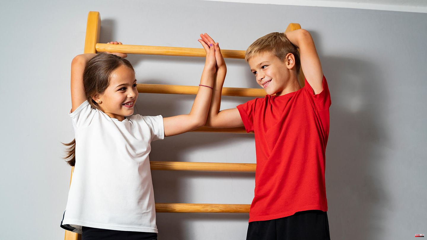 Indoor climbing: Wall bars in the children's room: The fun and fitness tool in a trend check