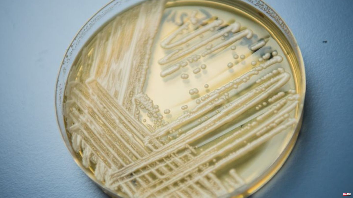 Diseases: WHO warns of life-threatening fungal diseases