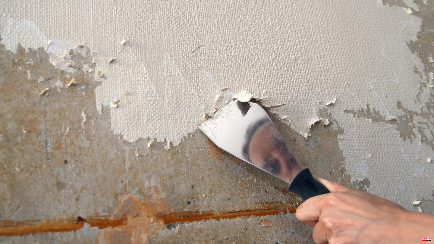 Practical helpers: wallpaper remover, nail roller and Co.: These tricks make it easier to remove old wallpaper