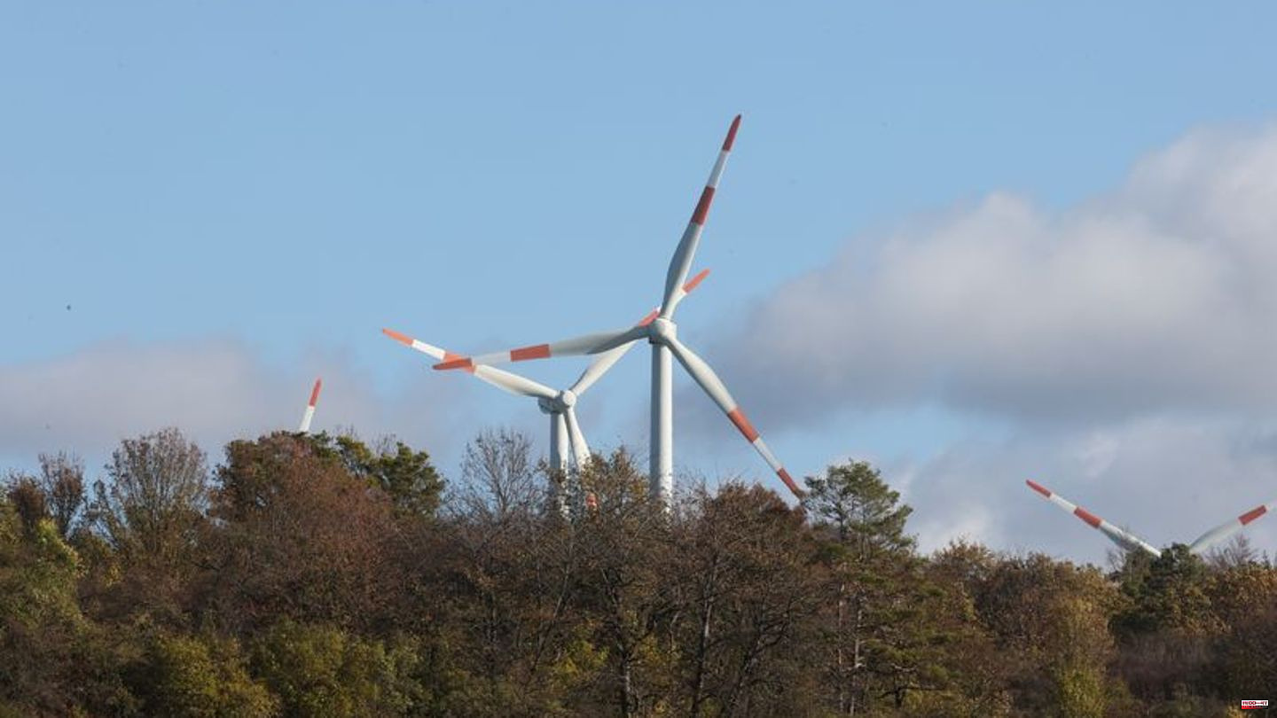 Federal Constitutional Court: Karlsruhe collects general wind turbine ban in the forest