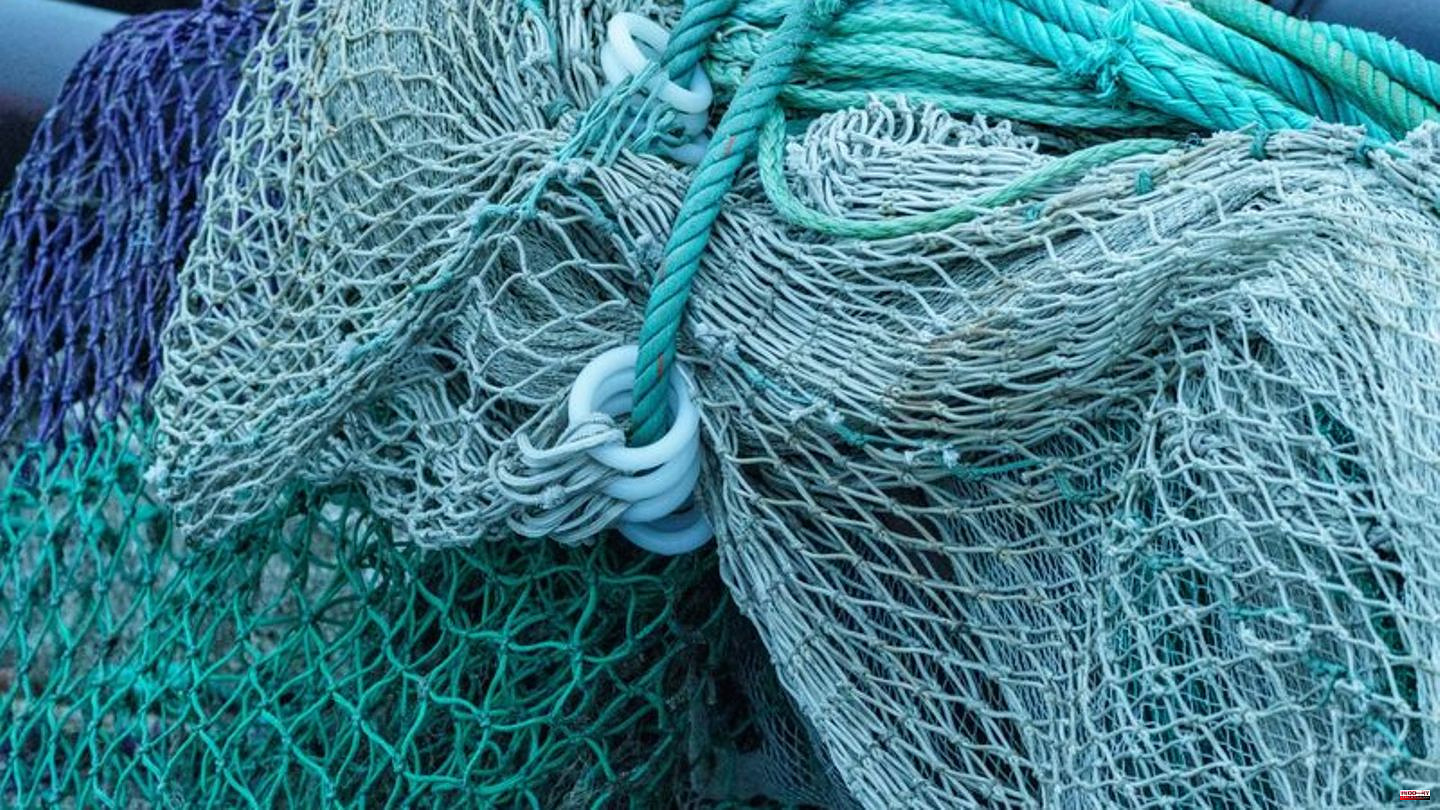 Fisheries: Environmentalists call for less fishing from the EU and the UK