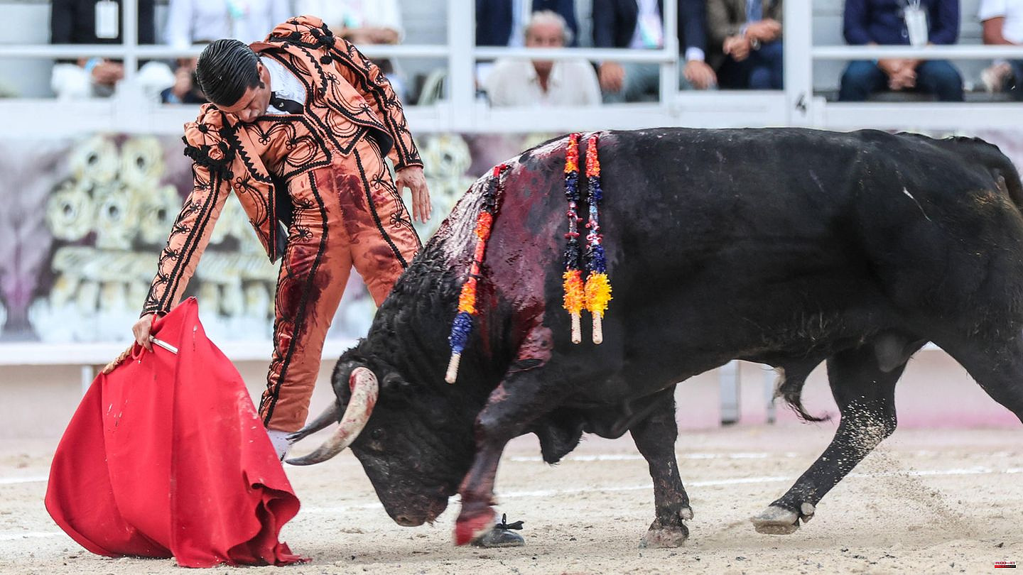 Proposal for a ban: barbarism or tradition? France argues about bullfighting