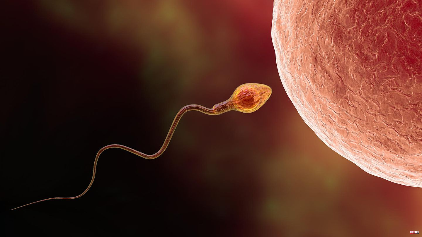 Men's health: The number of sperm is decreasing faster and faster worldwide