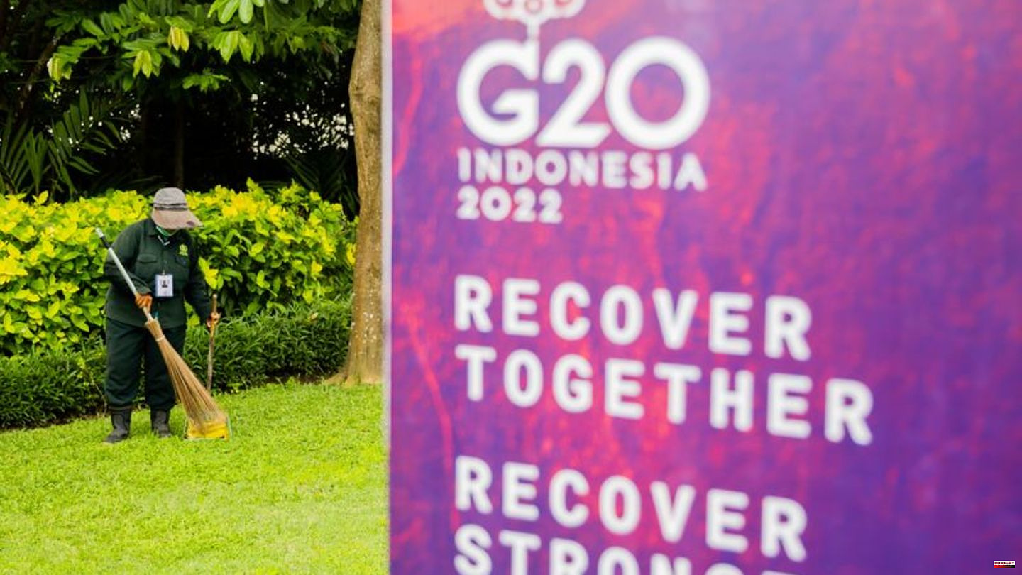 Economic powers: G20 summit in Bali: a divided world under palm trees