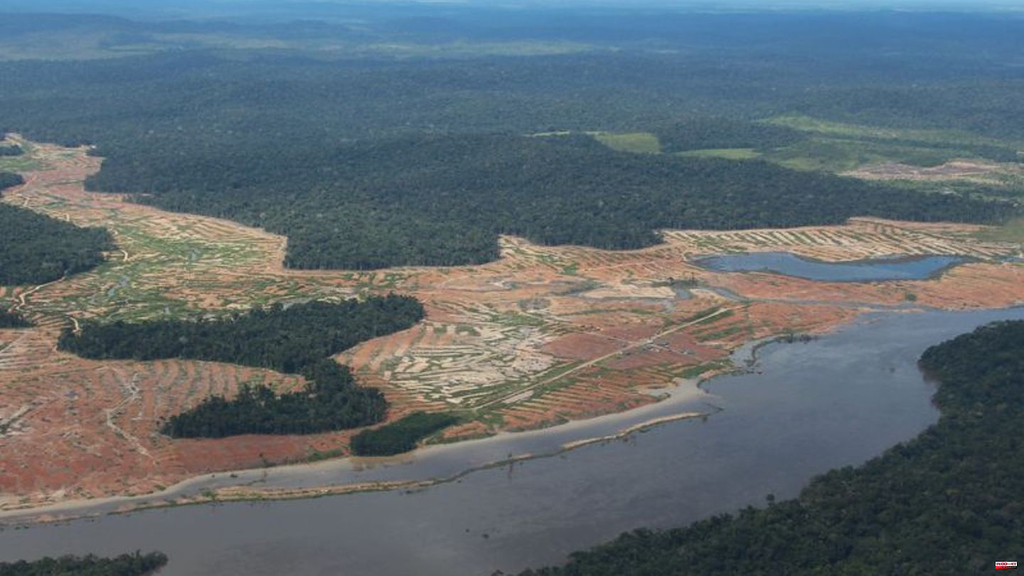 Brazil: Amazon deforestation at extreme levels