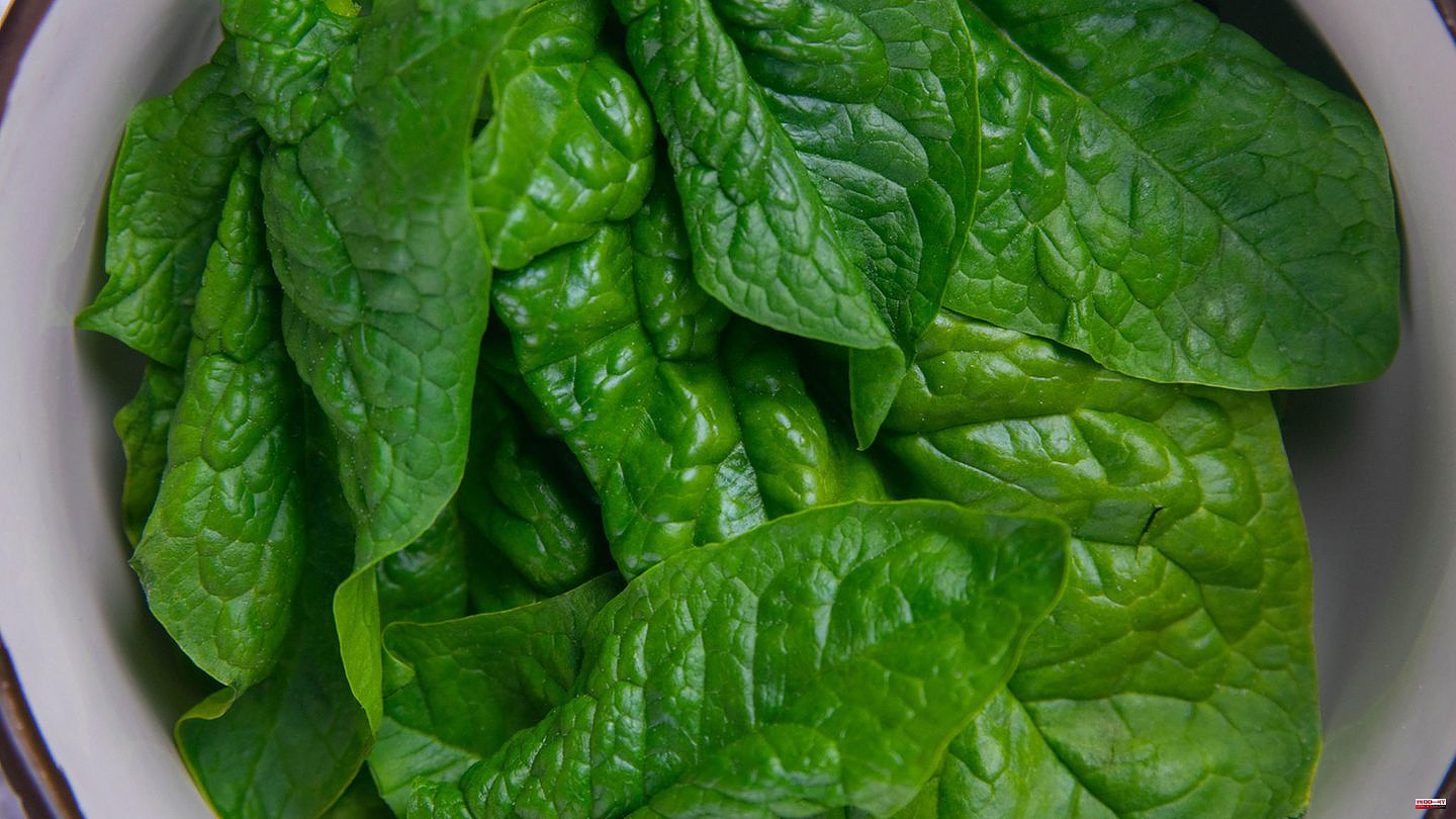 Australia: Contaminated spinach causes tachycardia and hallucinations in dozens of consumers