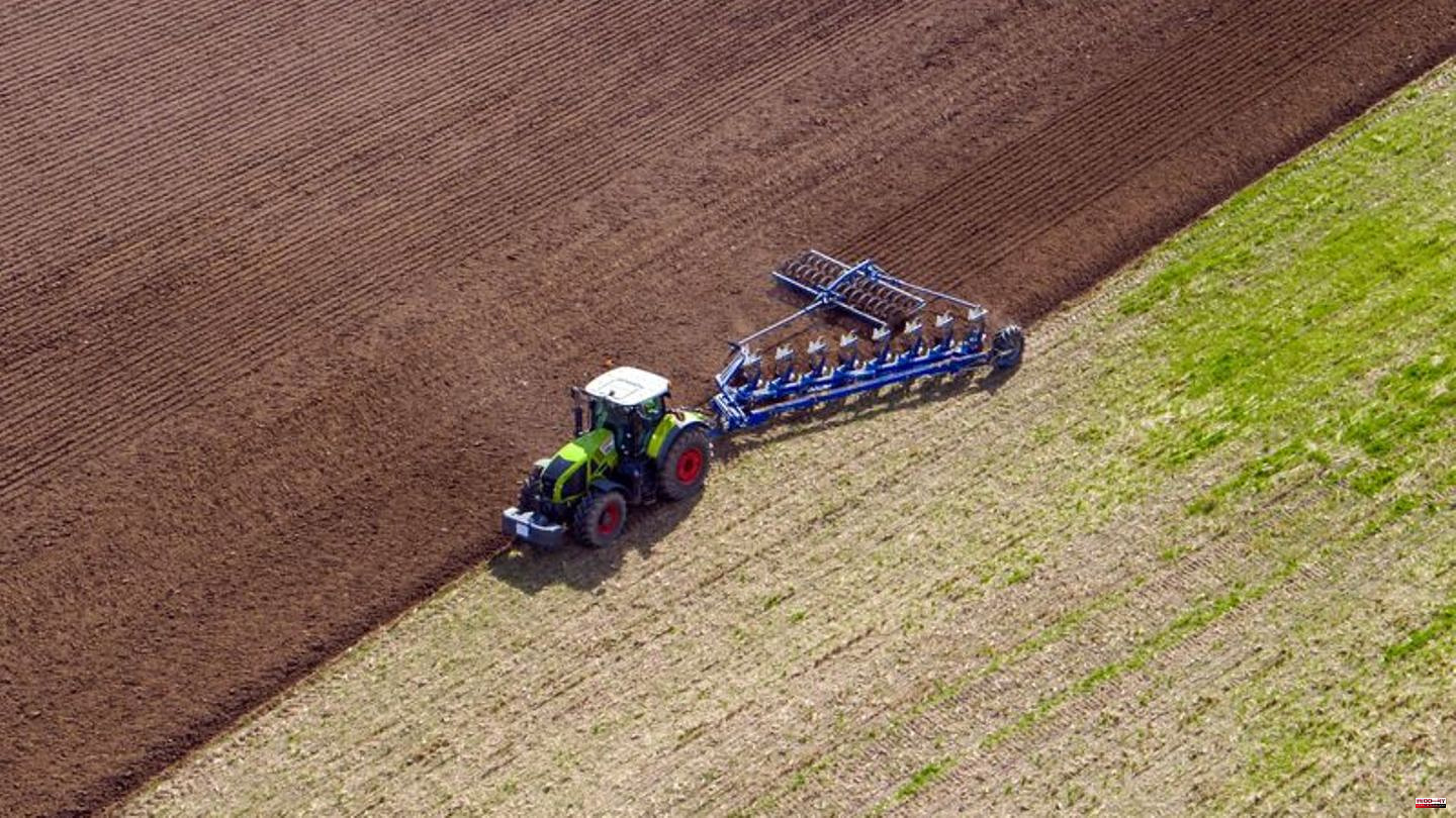 Agricultural: Arable land is soil of the year 2023