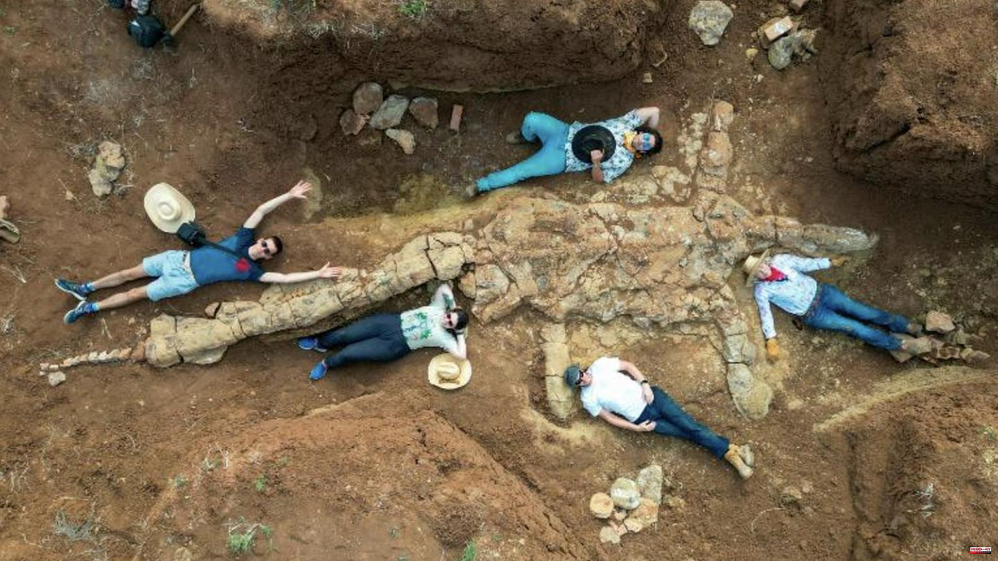 Australia: "Scientific breakthrough": Hobby researchers find 100 million year old dinosaur skeleton