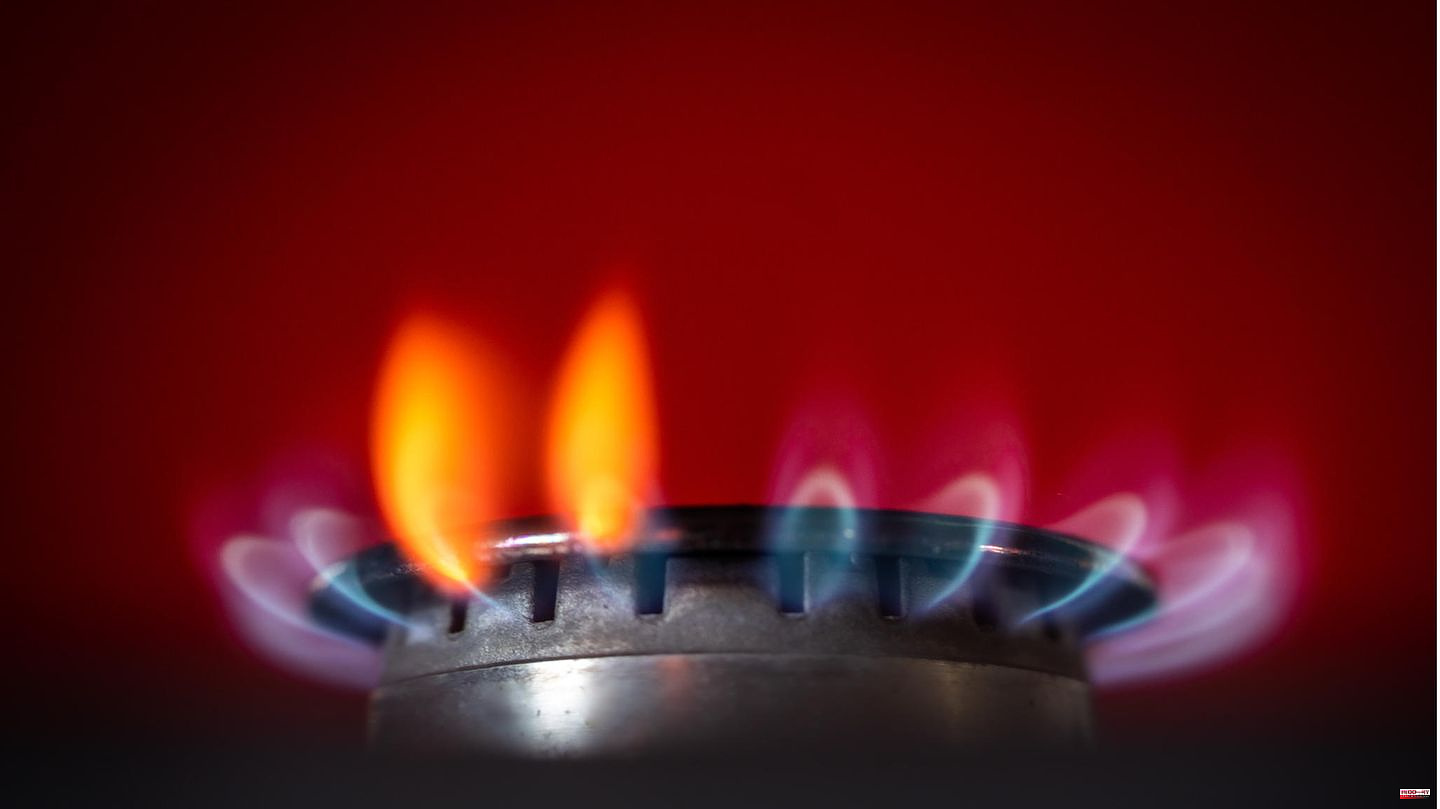Natural gas: EU cuts gas consumption by 20 percent - but big differences between countries
