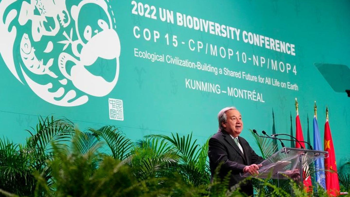 Biodiversity: "Peace with Nature" - World Nature Summit in Canada
