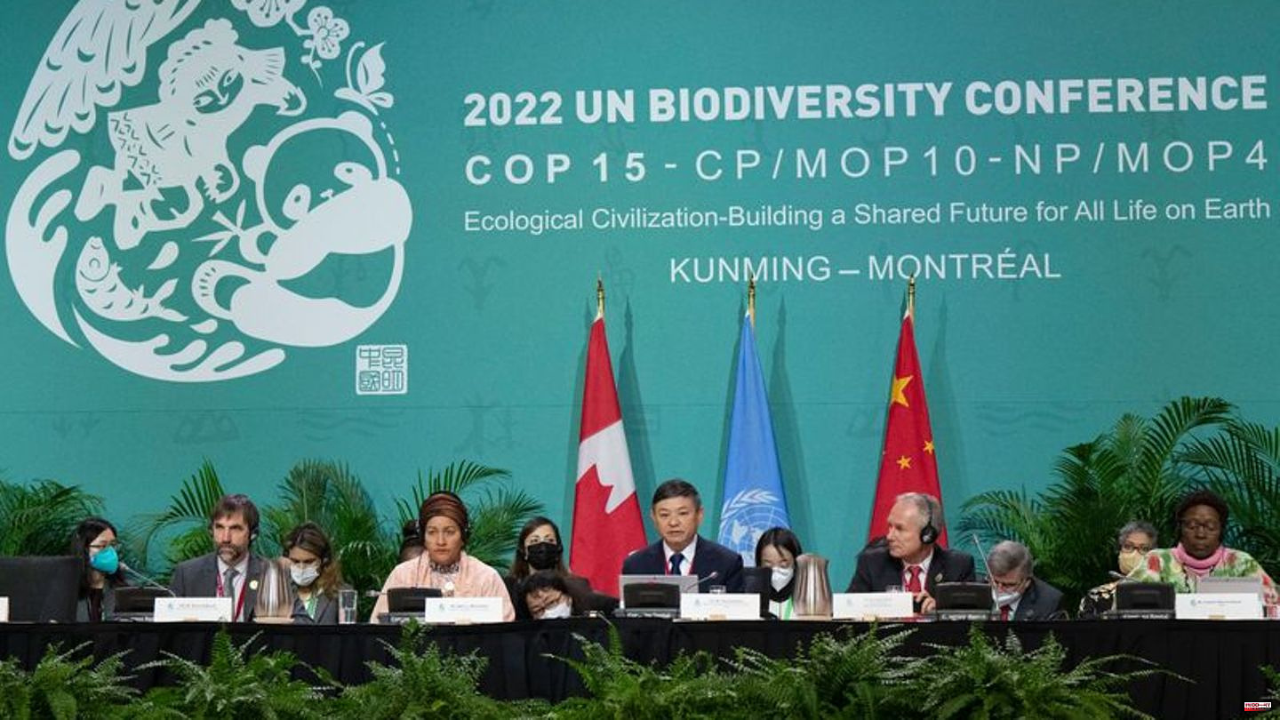 Conservation: World Nature Summit in Canada is on the home straight