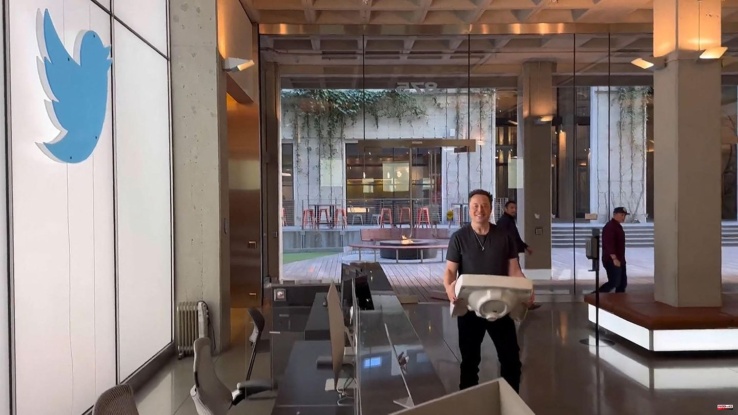 Work Hard, Sleep Hard: Elon Musk converts Twitter offices into bedrooms – and gets in trouble with the authorities