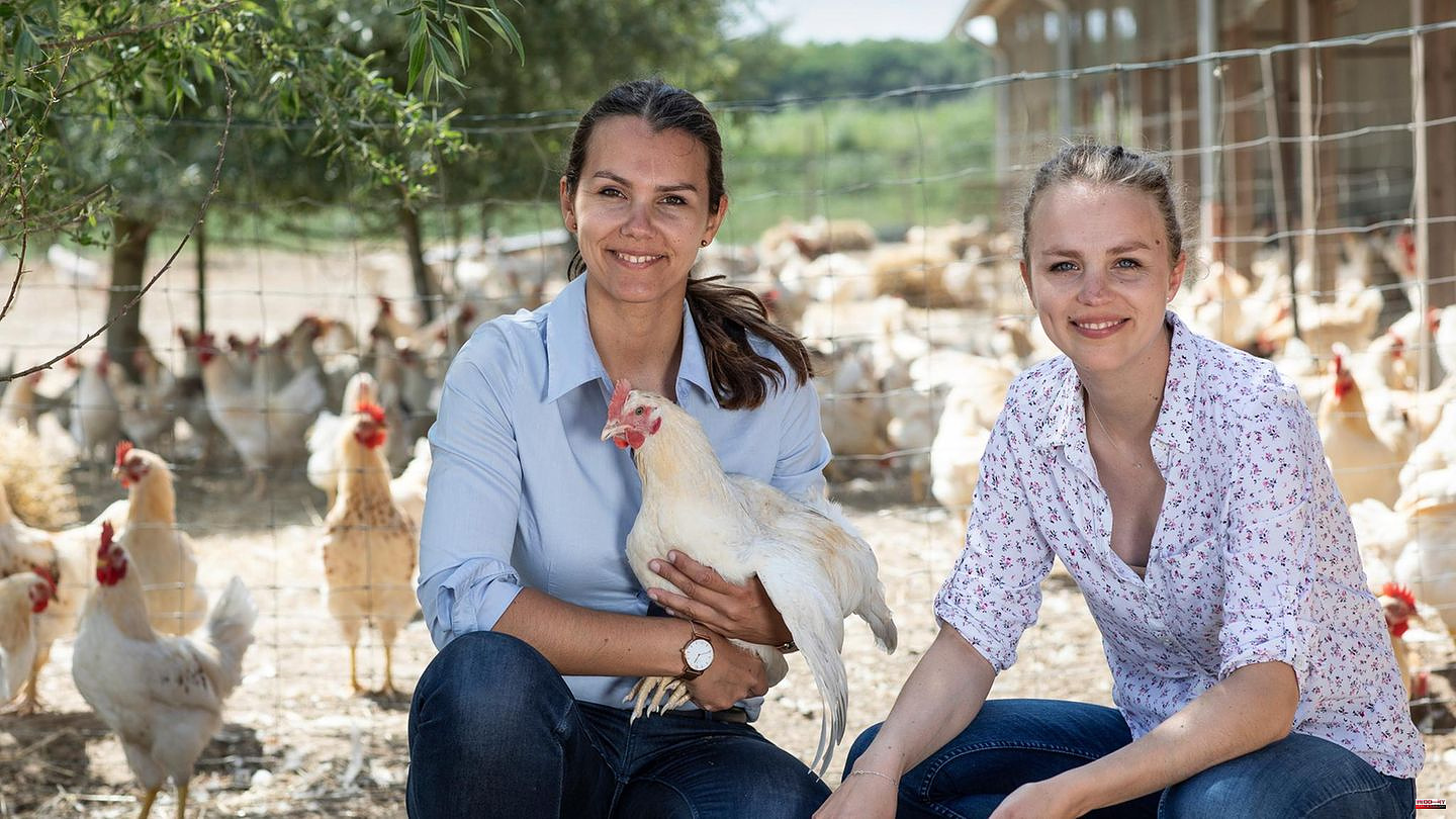 Fortune: How two sisters make millions in sales with organic chickens - and revolutionize the market