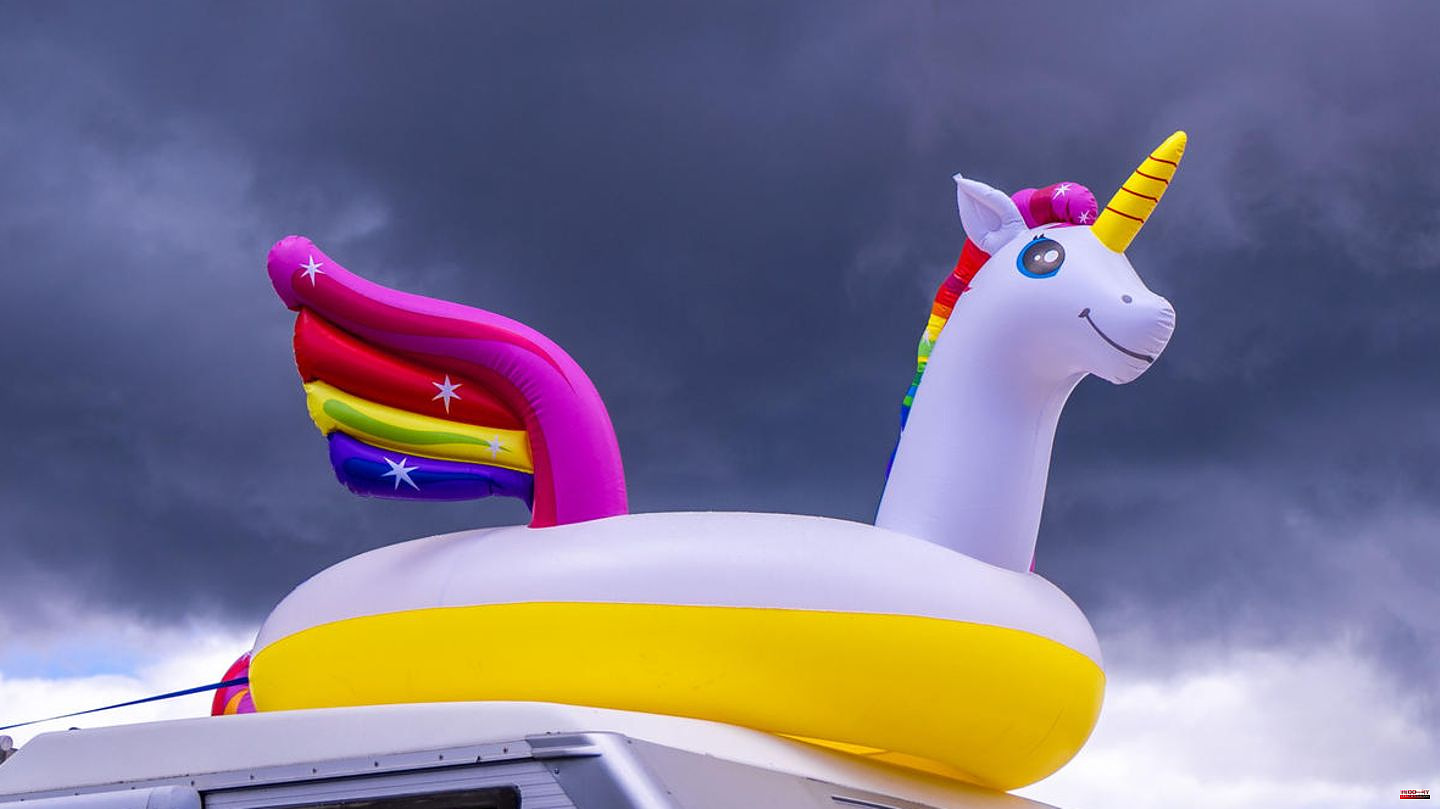 California: Girl in the US gets official permission to hold a unicorn