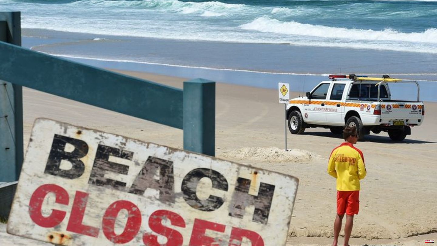 Animals: Shark alert! Well-known Sydney beach closed