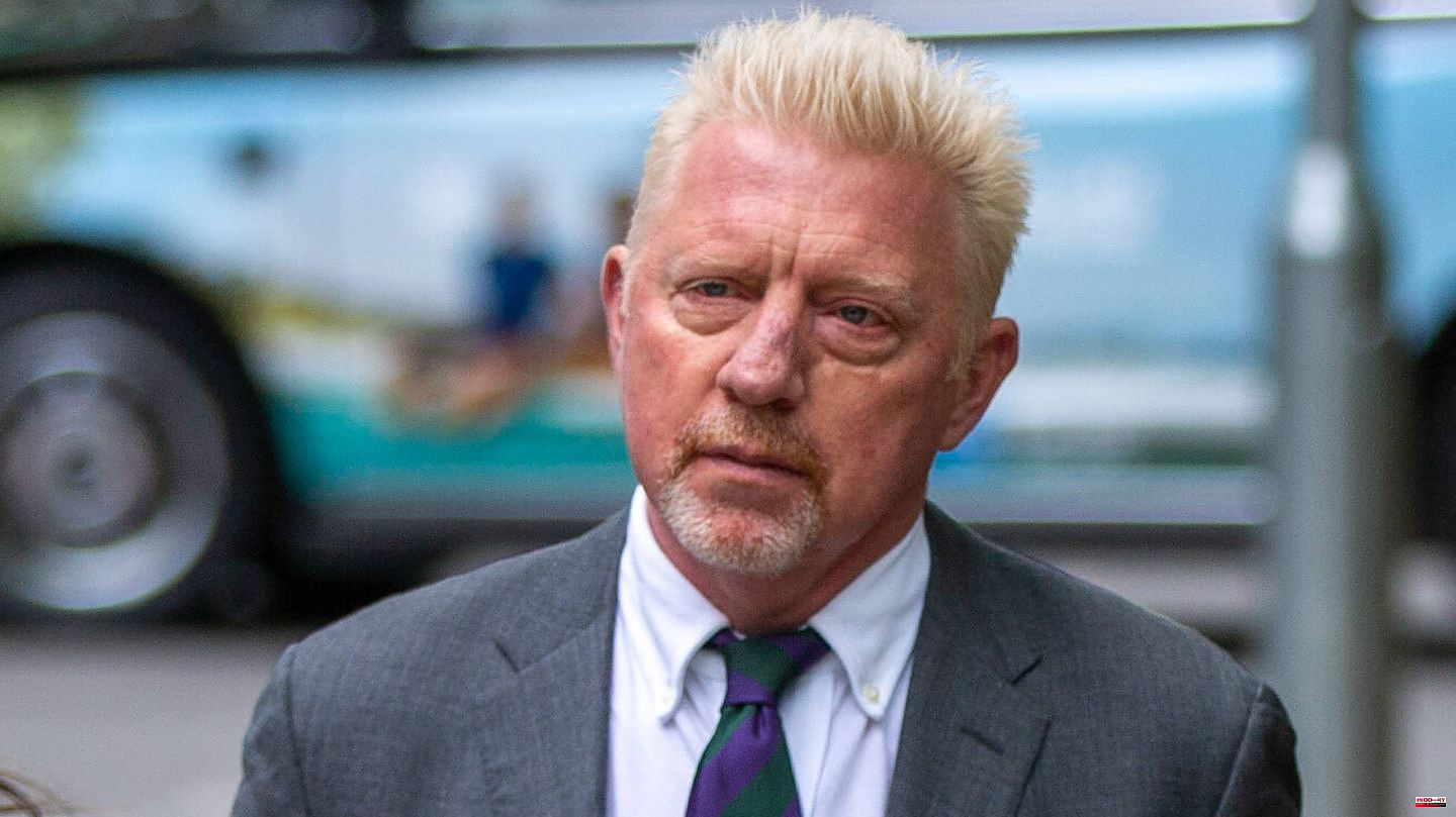 TV expert: Return to old love: Boris Becker will start again on German television in January