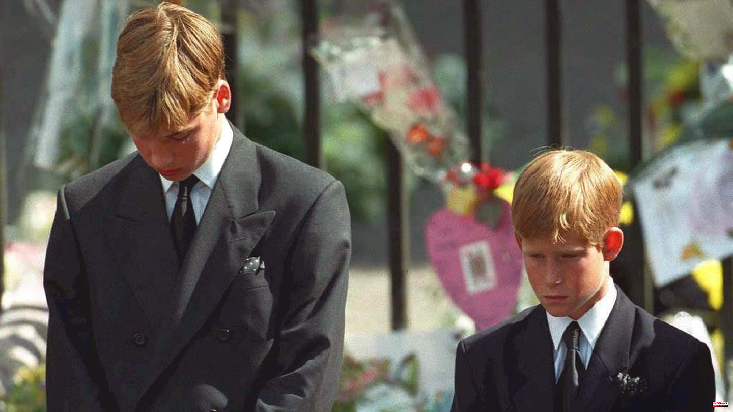TV interview: Prince Harry was plagued by guilt towards mourners after Diana's death