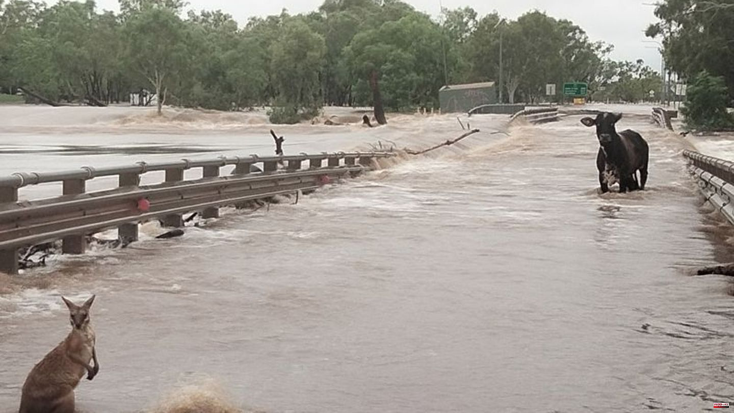 Storm: flood of the century in Australia's Kimberley region