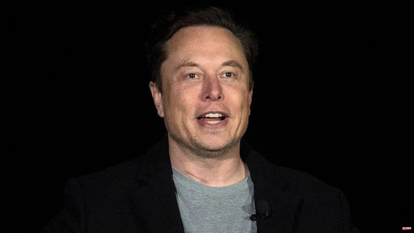Racism allegations against the author: After the end of the cult cartoon "Dilbert": Elon Musk calls the media racist against whites and Asians