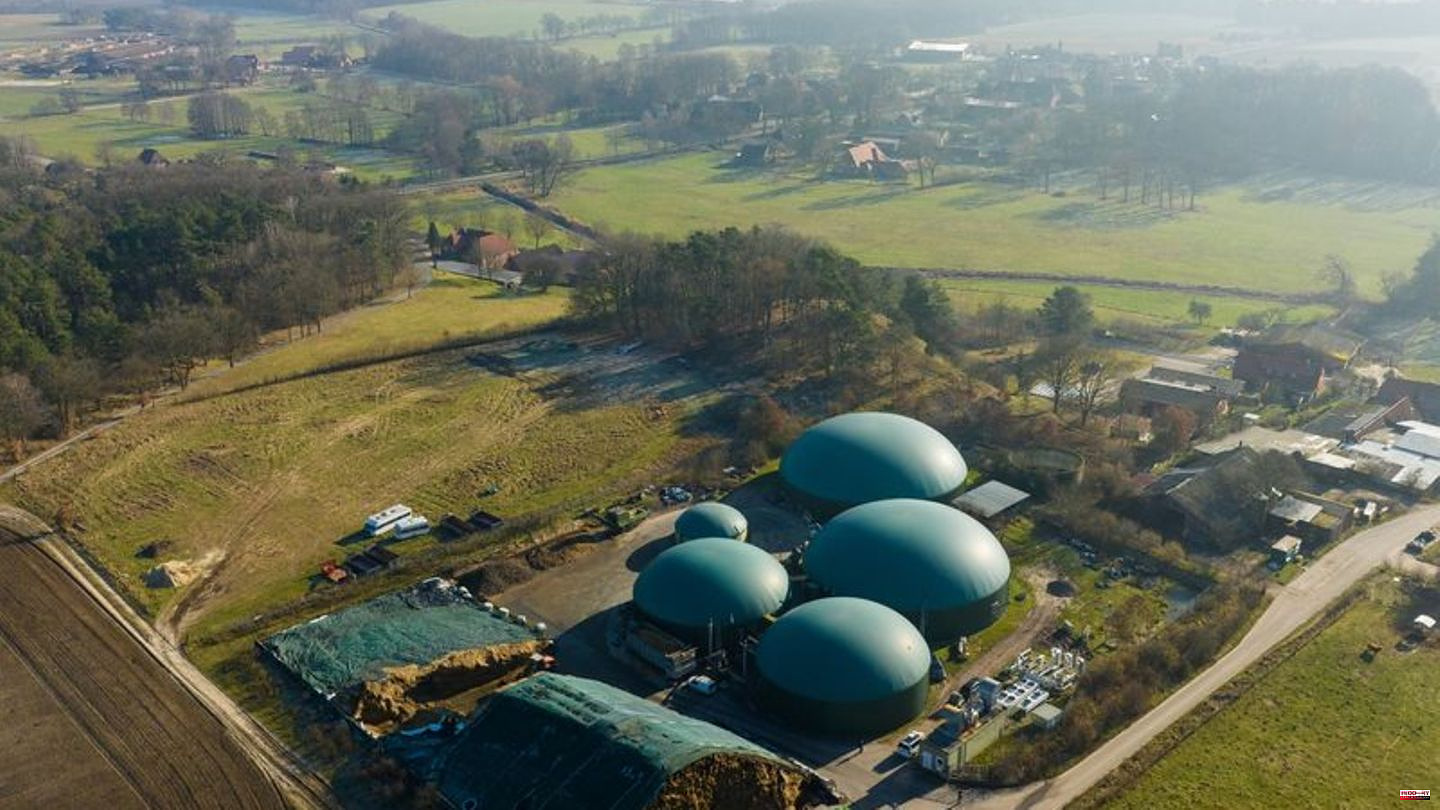 Energy: Ellringen is energy self-sufficient thanks to the biogas plant