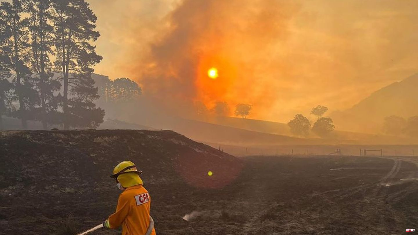 Disasters: grass fire blazes north of Melbourne – experts warn