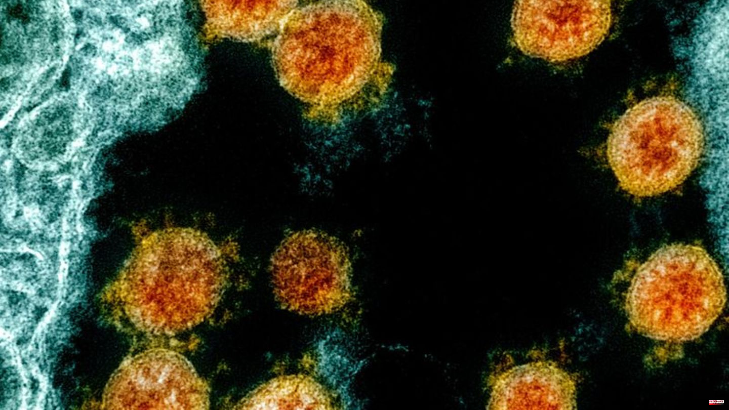 Pandemic: FBI: Corona origin "most likely" due to laboratory failure