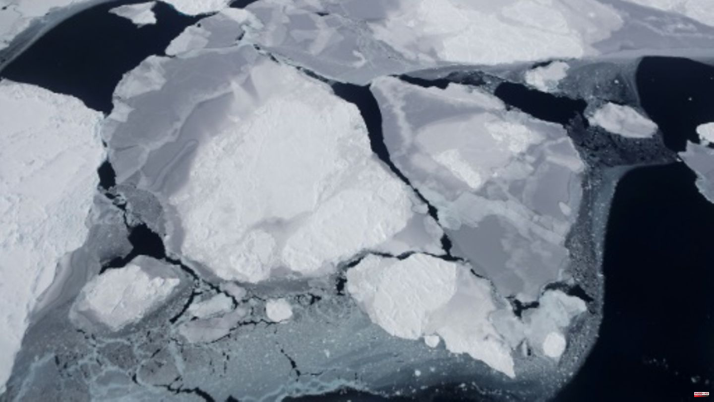 Sad record value: sea ice in Antarctica is shrinking to a new low - with possibly devastating effects