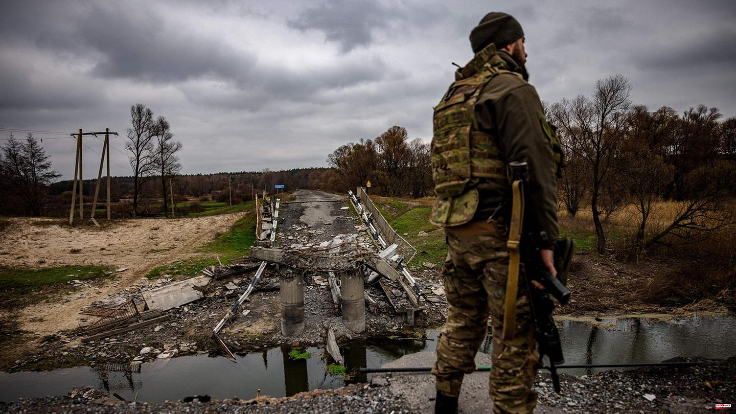 Russian "ecocide": Ukrainian nature, the silent victim of the invasion