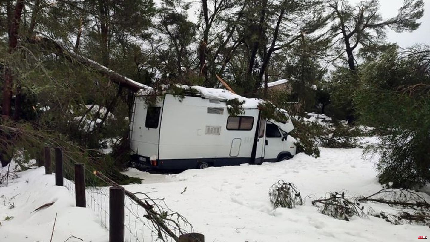 Storm: More than a meter of snow: Mallorca asks the military for help