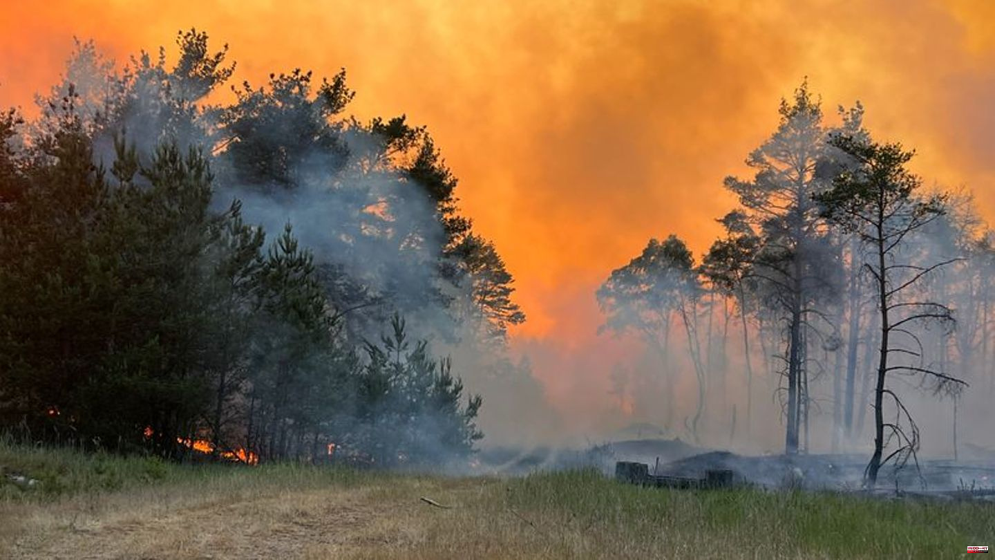 Fires: situation in forest fire areas in MV stable