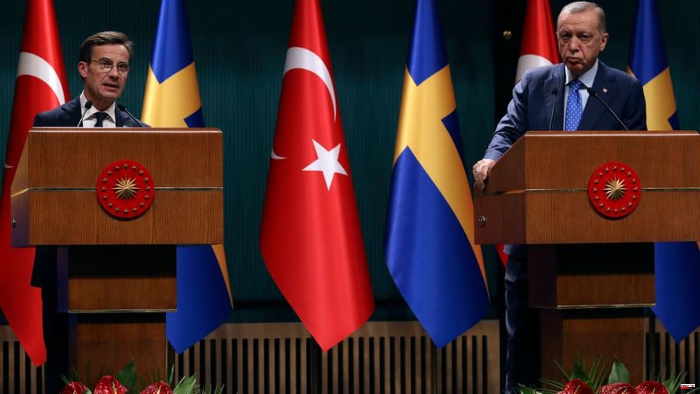 Conflicts: Erdogan doubts Sweden's NATO membership until the summit