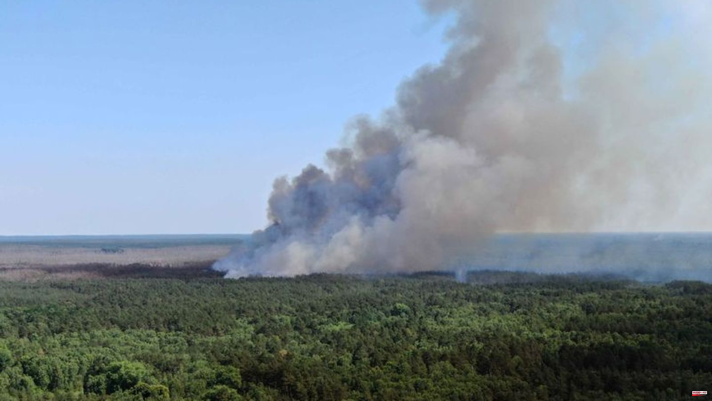 Fires: Fighting forest fires in Mecklenburg continues