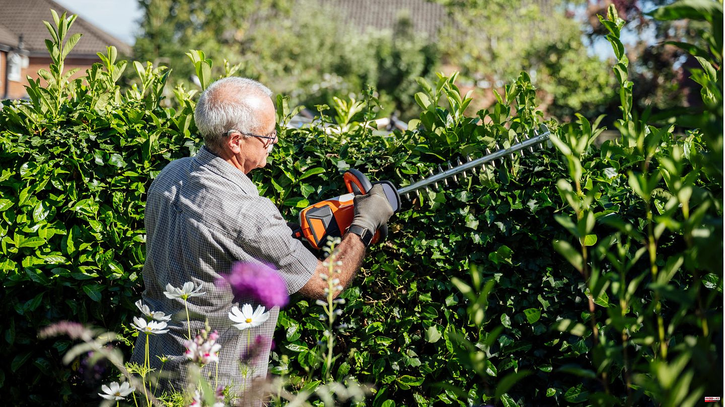House and garden: cutting hedges in summer: these rules now apply
