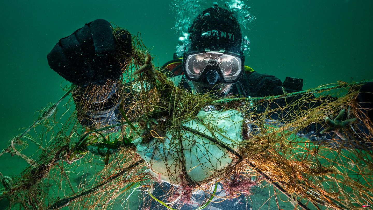 Nature conservation: The spirits of the deep – before Rügen, fishermen and conservationists are salvaging old fishing nets in the Baltic Sea