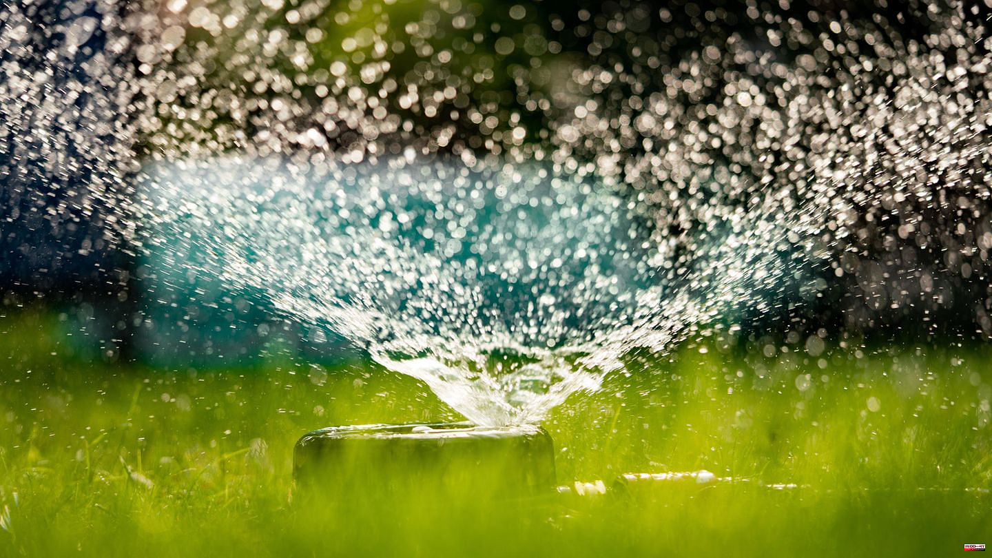 Garden tips: Water the lawn properly: Why the rain shower is useful and important