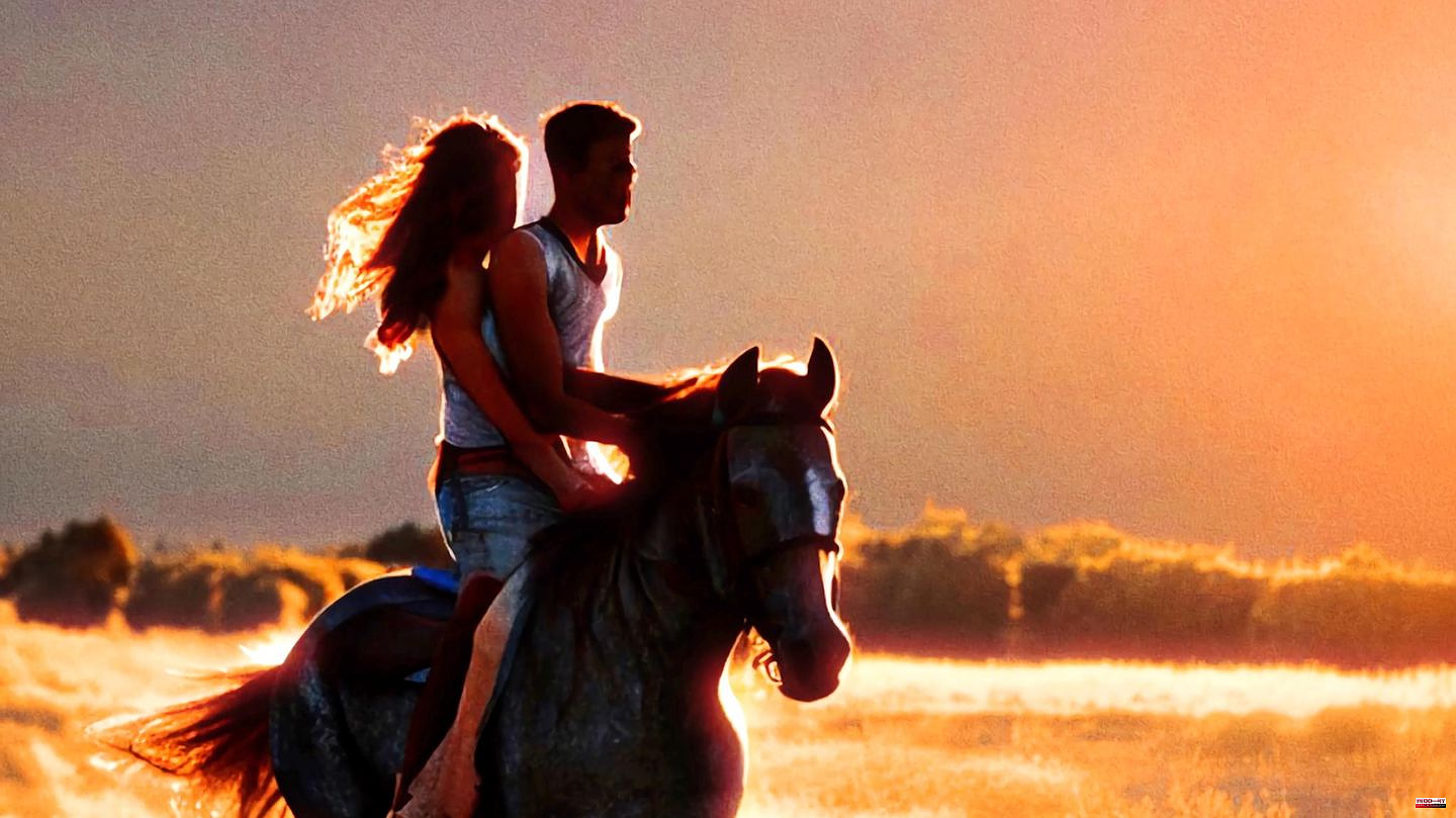 Music: "Girl on the horse" is the summer hit of the year. But why actually?