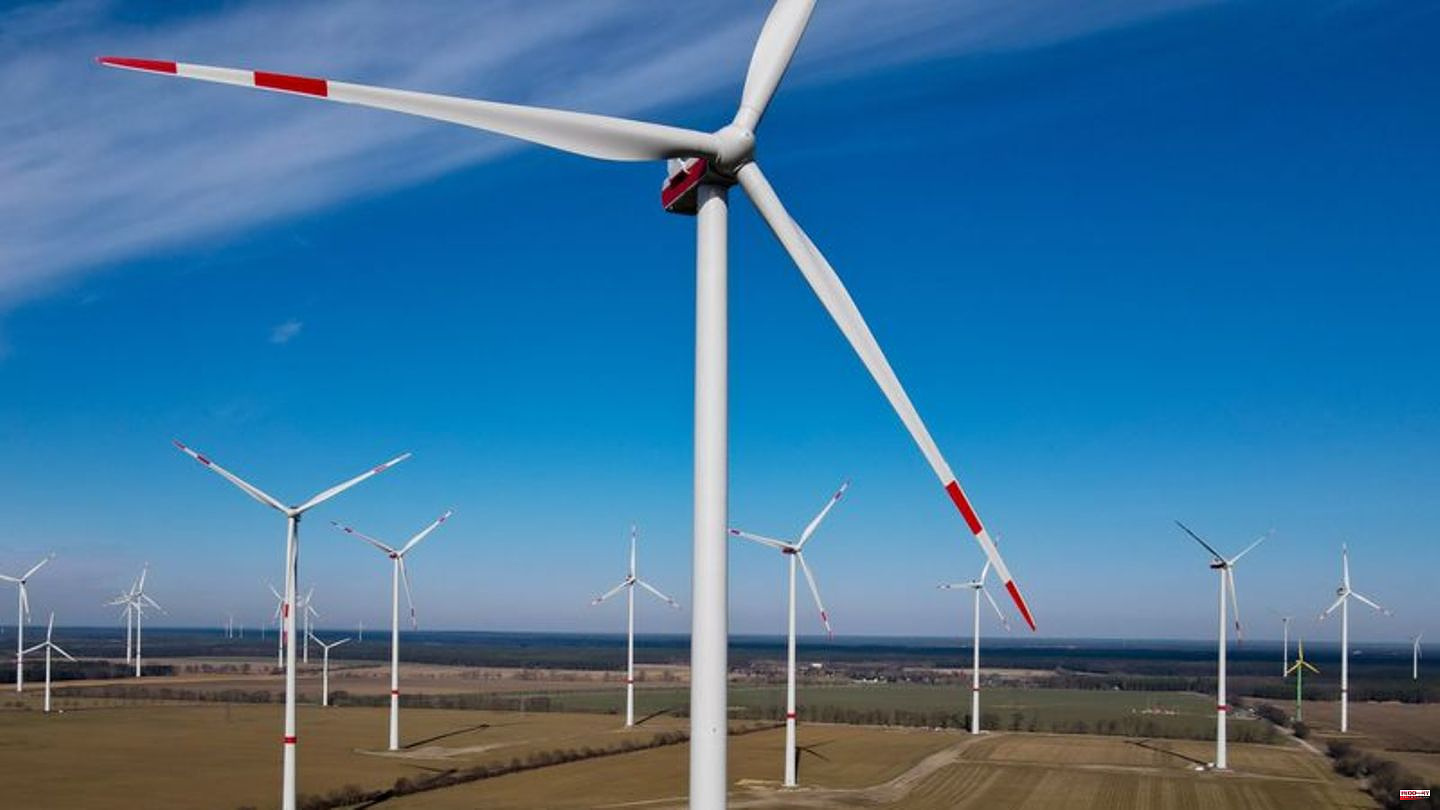 PANORAMA NEWS: Nabu warns against the expansion of wind power at the expense of nature