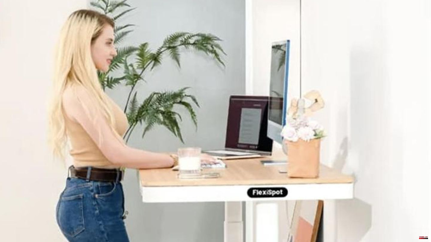Design and functionality: Ergonomic furniture for the home office: The dream team put to the test