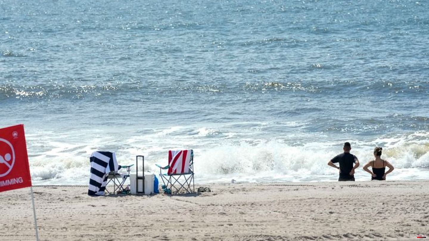 USA: Shark attack on a beach in New York – woman seriously injured