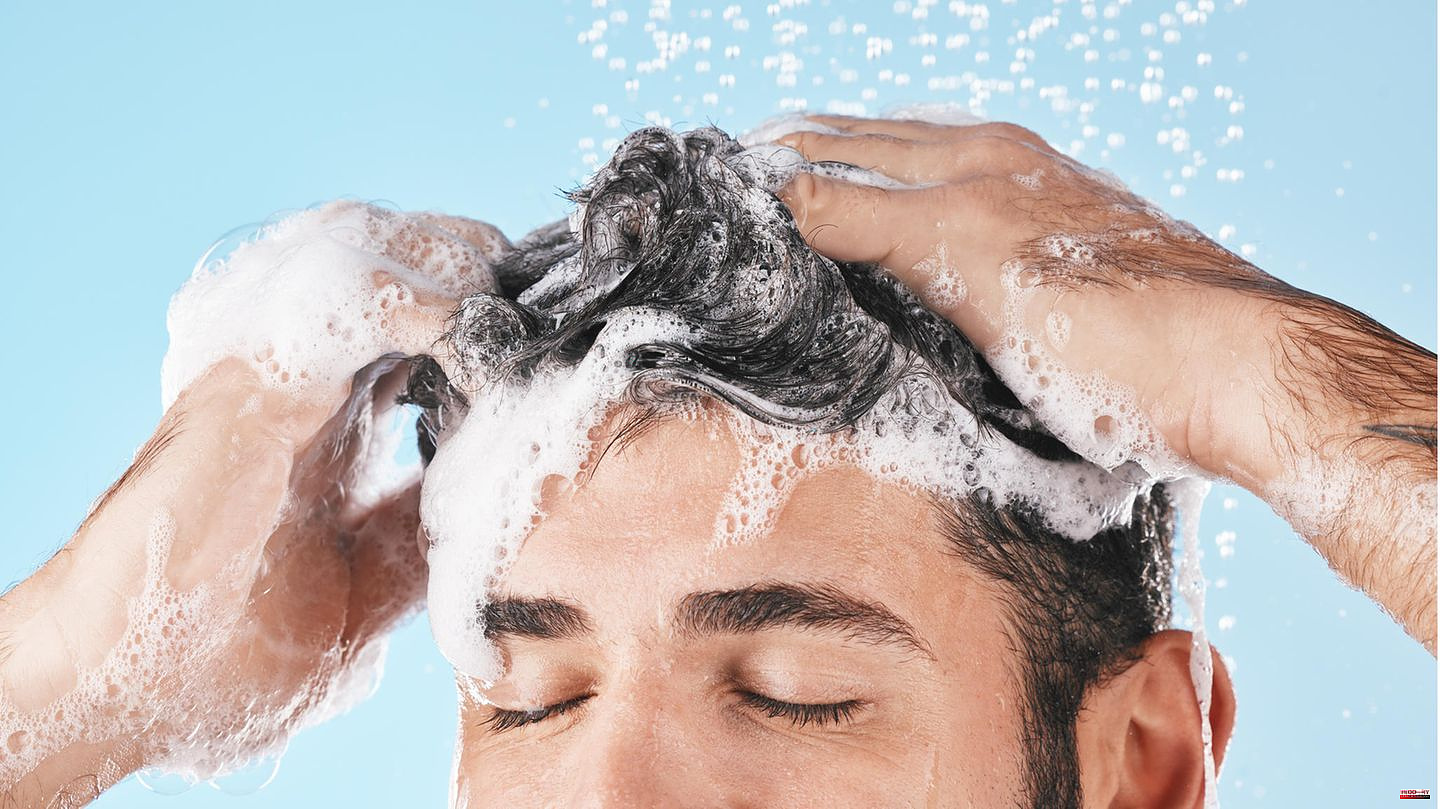 Advice: Shampoo for greasy hair: tips against sebum and oil in the hair