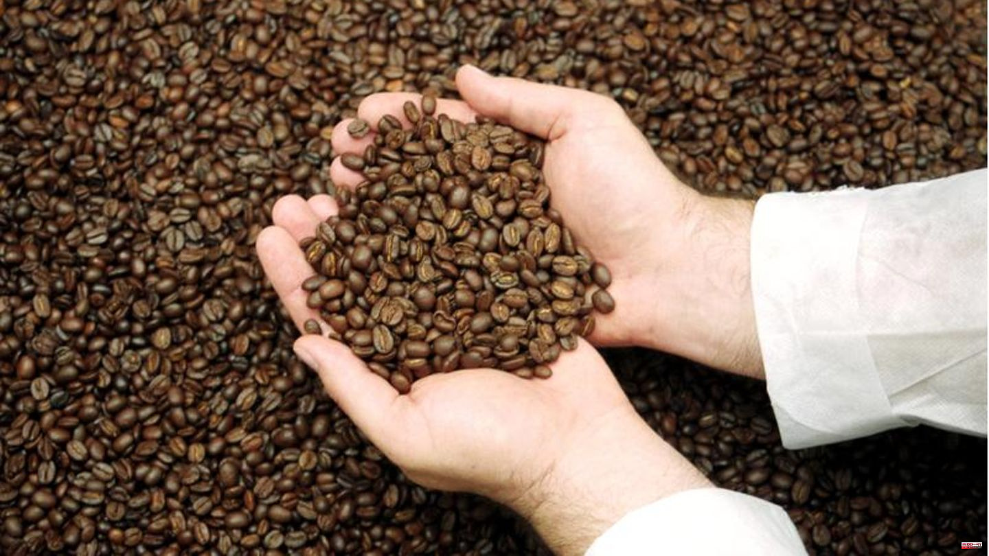 Sensitive bean: Climate change is a concern for the coffee industry