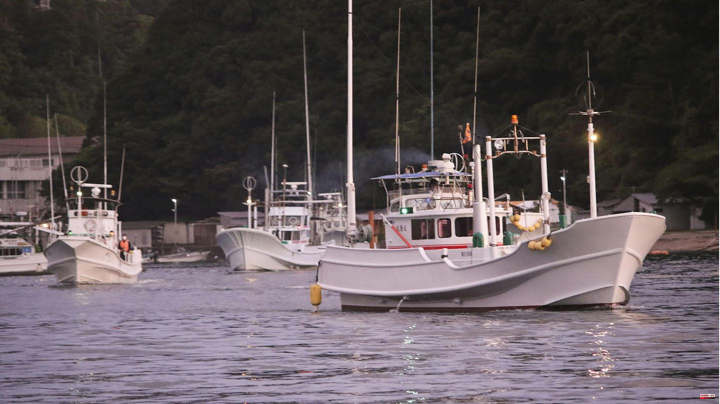 Criticism from activists: Dolphin hunting season has started in Japan – under protest