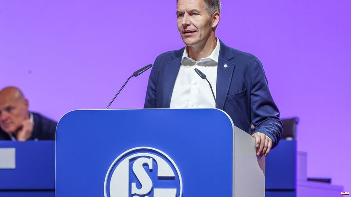 2nd League: Schalke: CEO found, coach wanted, Knäbel at risk