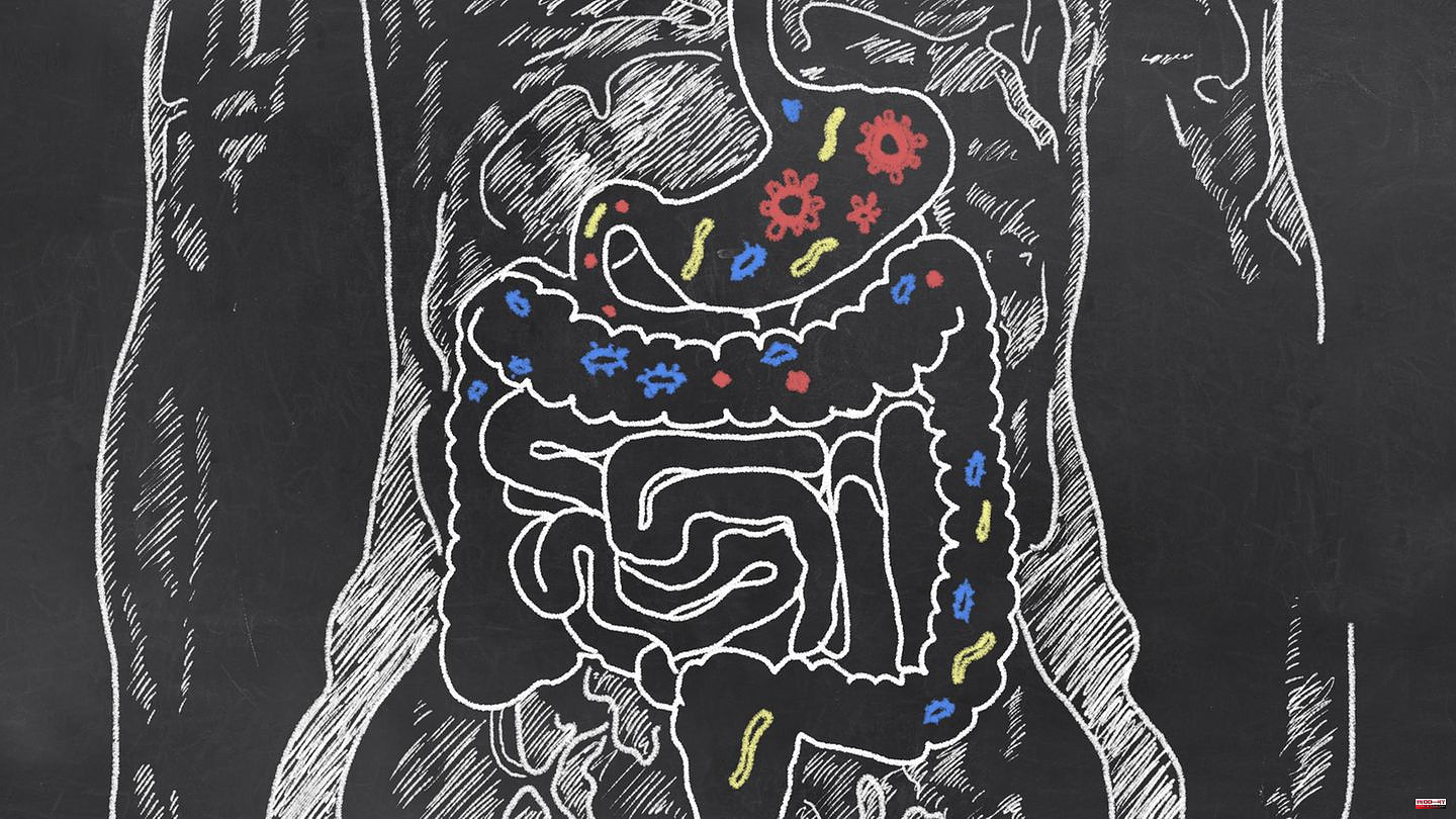 Microbiome research: Healing from the gut – new therapies against infections, cancer and inflammation