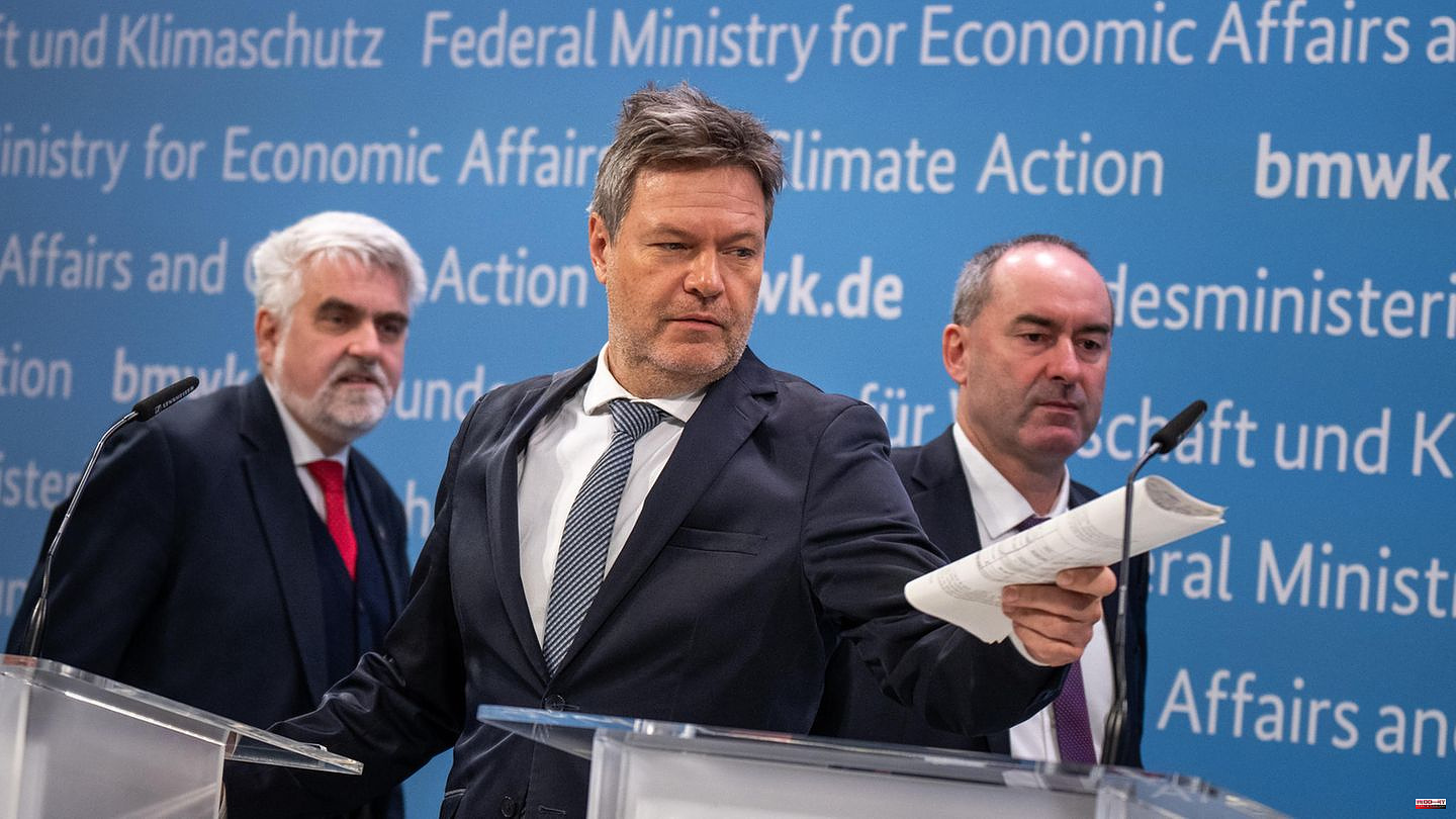 Despite the budget crisis: Habeck and state ministers want to stick to (climate) projects - even if that means new debt
