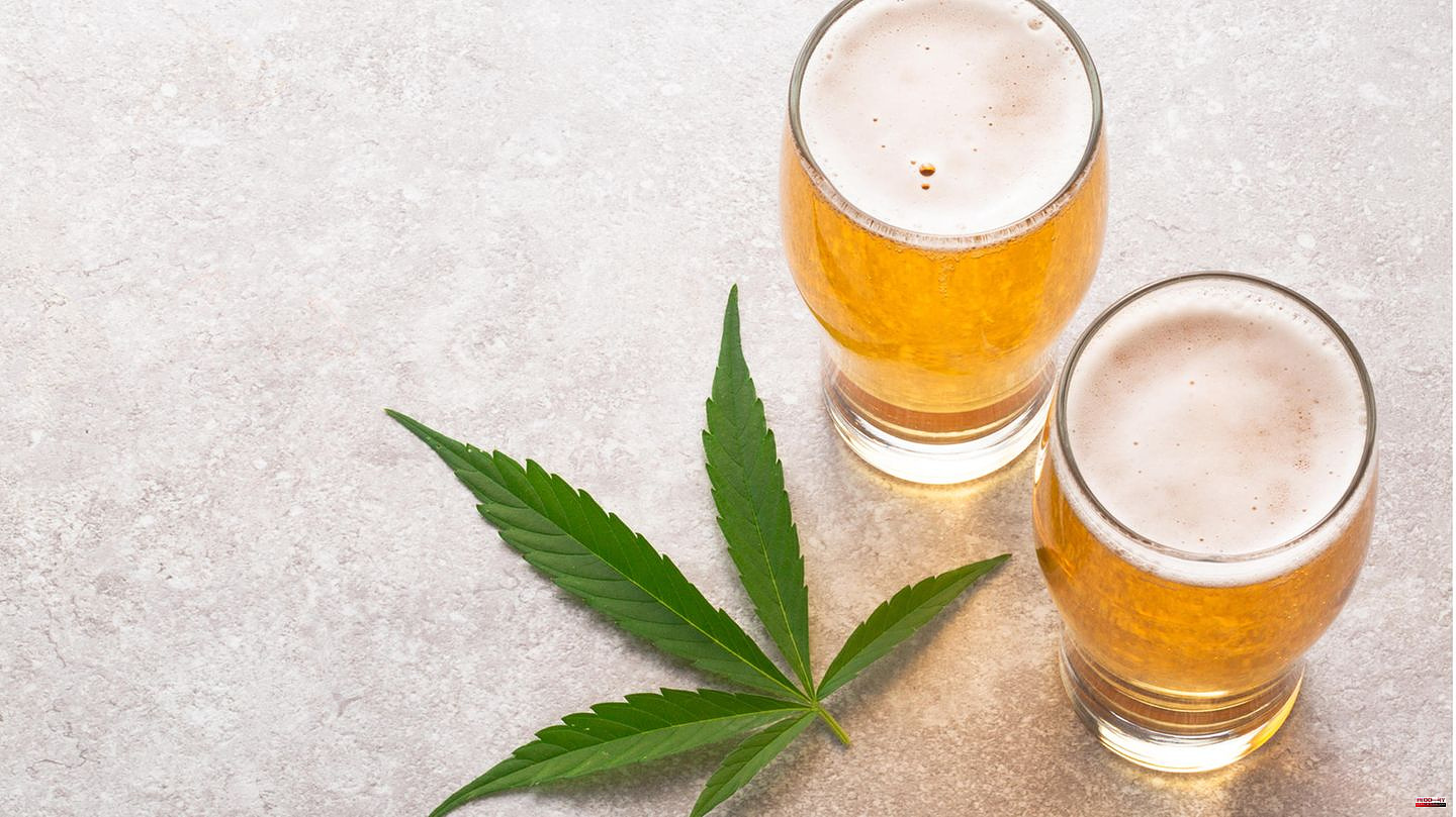Wilde Mische: Hemp and beer, are you okay? What the special brew is all about