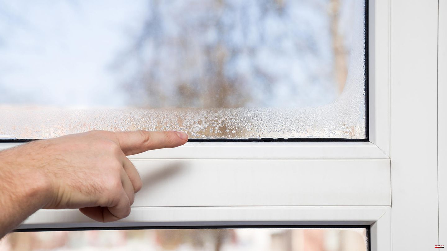Against mold: With these tips you can reduce the humidity at home