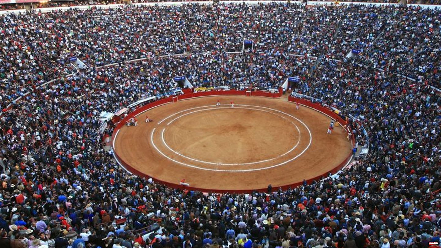 Animals: After ban: bullfights return to Mexico