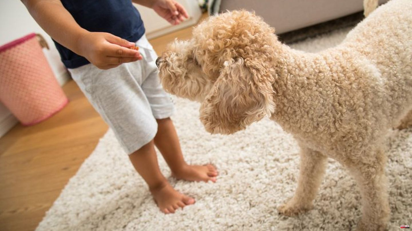 Research: Study: Dogs make children fitter